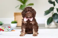 processed/e2a88229-6ee6-43e5-826b-f63cd4dbe397/listing/7a176988-8867-490d-94a9-0acf60be7dce/927d118c-8c04-4e5c-af41-fe68accead28