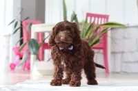 processed/e2a88229-6ee6-43e5-826b-f63cd4dbe397/listing/9fa15b91-38cb-4e4f-b94b-3c8d531f8d2a/284fb6fd-bb39-4003-a1da-be81527300fa