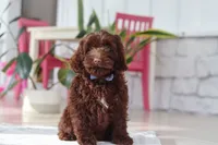 processed/e2a88229-6ee6-43e5-826b-f63cd4dbe397/listing/9fa15b91-38cb-4e4f-b94b-3c8d531f8d2a/2c47410e-283f-4037-ada5-948d497edfa5