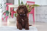 processed/e2a88229-6ee6-43e5-826b-f63cd4dbe397/listing/9fa15b91-38cb-4e4f-b94b-3c8d531f8d2a/44c25884-122d-458e-b0dc-0ddfbad24f23