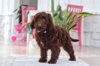 processed/e2a88229-6ee6-43e5-826b-f63cd4dbe397/listing/9fa15b91-38cb-4e4f-b94b-3c8d531f8d2a/d3d9faee-cac3-43c9-b812-075394f88c81