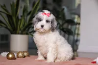 processed/e2a88229-6ee6-43e5-826b-f63cd4dbe397/listing/b311c04a-f5c8-4b13-a8be-2a39f3e67afc/03606411-bc11-4e8e-941a-ee1029b5b3ca