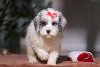 processed/e2a88229-6ee6-43e5-826b-f63cd4dbe397/listing/b311c04a-f5c8-4b13-a8be-2a39f3e67afc/16f9d721-558e-4120-8d72-97b237e3dca9