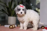 processed/e2a88229-6ee6-43e5-826b-f63cd4dbe397/listing/b311c04a-f5c8-4b13-a8be-2a39f3e67afc/798a87f7-a394-4336-b01a-e1bd126c1cdb