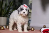 processed/e2a88229-6ee6-43e5-826b-f63cd4dbe397/listing/b311c04a-f5c8-4b13-a8be-2a39f3e67afc/b241d204-d64a-42cf-a046-c465f30e02a7