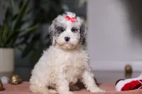 processed/e2a88229-6ee6-43e5-826b-f63cd4dbe397/listing/b311c04a-f5c8-4b13-a8be-2a39f3e67afc/ea02d21d-1a99-403f-b364-49c03146d591