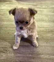 processed/e2bc4f82-8247-4d5b-b46a-57cf0eef2e0e/listing/3f041d15-b4ee-4adc-b2c0-435ae1ef2971/07888740-fe72-416a-b267-829d7c377cd7