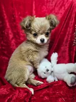 processed/e2bc4f82-8247-4d5b-b46a-57cf0eef2e0e/listing/3f041d15-b4ee-4adc-b2c0-435ae1ef2971/3c6f8a25-4ab1-4b3b-bf94-15189ee47e8e