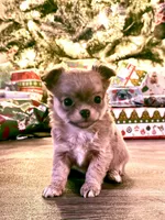 processed/e2bc4f82-8247-4d5b-b46a-57cf0eef2e0e/listing/3f041d15-b4ee-4adc-b2c0-435ae1ef2971/c533efac-3b42-4c32-8891-bb9c1b2c5faf