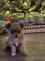 processed/e2bc4f82-8247-4d5b-b46a-57cf0eef2e0e/listing/3f041d15-b4ee-4adc-b2c0-435ae1ef2971/e3b6f6ec-1124-40ba-9405-7862b4e629ee