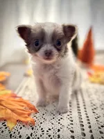 processed/e2bc4f82-8247-4d5b-b46a-57cf0eef2e0e/listing/f22a335a-2d50-4e0a-b43a-b5b0b2b15f2a/71c2573c-1fb2-4374-86ab-033d462cd8cf