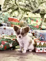 processed/e2bc4f82-8247-4d5b-b46a-57cf0eef2e0e/listing/f22a335a-2d50-4e0a-b43a-b5b0b2b15f2a/7445e338-a191-44c8-9f28-38d8d300fe5d