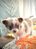 processed/e2bc4f82-8247-4d5b-b46a-57cf0eef2e0e/listing/f22a335a-2d50-4e0a-b43a-b5b0b2b15f2a/f799ebce-3e1c-400e-9dfc-63bfce19960f