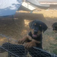 processed/e2c3cc28-931e-4870-be37-fb67bbb5a0fa/facility/0a6ecebd-3fb7-4e60-9e2a-43f4b4016048