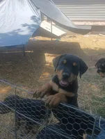 processed/e2c3cc28-931e-4870-be37-fb67bbb5a0fa/facility/0a6ecebd-3fb7-4e60-9e2a-43f4b4016048