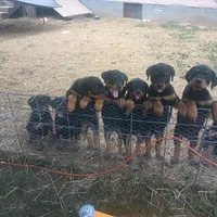 processed/e2c3cc28-931e-4870-be37-fb67bbb5a0fa/facility/0e6a9f08-7633-4c80-8c39-6e0a26ee8397