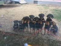 processed/e2c3cc28-931e-4870-be37-fb67bbb5a0fa/facility/0e6a9f08-7633-4c80-8c39-6e0a26ee8397