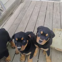 processed/e2c3cc28-931e-4870-be37-fb67bbb5a0fa/facility/11fb7775-67f1-4a0a-81af-2eaa9fbcd619