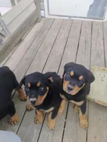 processed/e2c3cc28-931e-4870-be37-fb67bbb5a0fa/facility/11fb7775-67f1-4a0a-81af-2eaa9fbcd619