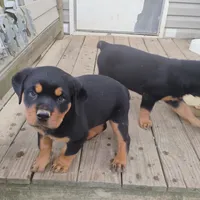 processed/e2c3cc28-931e-4870-be37-fb67bbb5a0fa/facility/2217037d-3782-4909-9e4f-0bd993dc0d5d