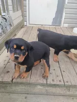 processed/e2c3cc28-931e-4870-be37-fb67bbb5a0fa/facility/2217037d-3782-4909-9e4f-0bd993dc0d5d