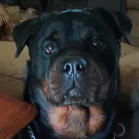 processed/e2c3cc28-931e-4870-be37-fb67bbb5a0fa/facility/4ee41a65-5f77-4d12-97df-a6c0239272ca