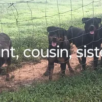 processed/e2c3cc28-931e-4870-be37-fb67bbb5a0fa/facility/62e541ec-319c-4107-9724-8d75f9f2c7ac