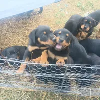 processed/e2c3cc28-931e-4870-be37-fb67bbb5a0fa/facility/74053d8e-1a2d-4387-b7b5-d7727c6cf62b