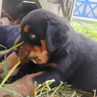 processed/e2c3cc28-931e-4870-be37-fb67bbb5a0fa/facility/b5baf144-7971-44f3-9bf2-e07b828f0b85