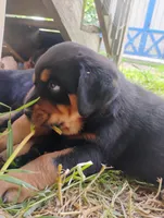 processed/e2c3cc28-931e-4870-be37-fb67bbb5a0fa/facility/b5baf144-7971-44f3-9bf2-e07b828f0b85