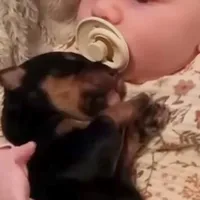 processed/e2c3cc28-931e-4870-be37-fb67bbb5a0fa/facility/d7390a66-ef32-4f80-83bf-ac5ed01a1eba