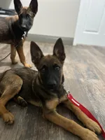 processed/e2c66d54-8930-40c3-b030-9d9e02d31601/listing/7909eb97-3d13-4f2a-b726-96cab6b3a5fc/6fca0e4a-fb0d-4097-b390-4a61f9c140ea