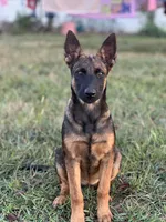 processed/e2c66d54-8930-40c3-b030-9d9e02d31601/listing/7909eb97-3d13-4f2a-b726-96cab6b3a5fc/71733494-0dbe-4f25-b31f-af37cadc4aea