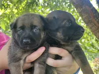 processed/e2c66d54-8930-40c3-b030-9d9e02d31601/listing/7909eb97-3d13-4f2a-b726-96cab6b3a5fc/739aa883-2f16-4562-94c3-706a30ebb666