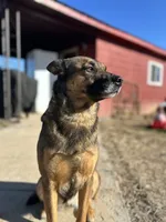 processed/e2c66d54-8930-40c3-b030-9d9e02d31601/listing/7909eb97-3d13-4f2a-b726-96cab6b3a5fc/8b91ef1b-ad9b-4455-a2ad-66a926086006