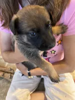 processed/e2c66d54-8930-40c3-b030-9d9e02d31601/listing/7909eb97-3d13-4f2a-b726-96cab6b3a5fc/b4025cf9-a76a-4698-ab07-b7629000ff03