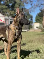 processed/e2c66d54-8930-40c3-b030-9d9e02d31601/listing/7909eb97-3d13-4f2a-b726-96cab6b3a5fc/bba4bad5-7b7a-482c-9f53-1b3902790379