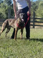 processed/e2c66d54-8930-40c3-b030-9d9e02d31601/listing/7909eb97-3d13-4f2a-b726-96cab6b3a5fc/ce216bd9-5793-47ee-905b-184757af985b