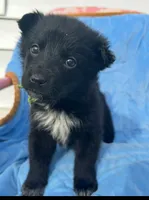 processed/e2c66d54-8930-40c3-b030-9d9e02d31601/listing/9ae813c8-0572-4d71-8f54-a0bbcf183ce9/2eef6d93-bb99-4f25-9eec-87fb33b4566b