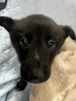 processed/e2c66d54-8930-40c3-b030-9d9e02d31601/listing/9ae813c8-0572-4d71-8f54-a0bbcf183ce9/7f58ef77-c7e9-42c1-8ede-eabb0c91c3ea