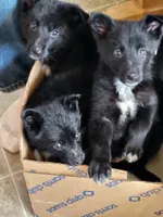 processed/e2c66d54-8930-40c3-b030-9d9e02d31601/listing/9ae813c8-0572-4d71-8f54-a0bbcf183ce9/a4375aef-8e7c-4ab6-a3ec-5e111c3f0fb2