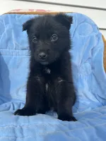 processed/e2c66d54-8930-40c3-b030-9d9e02d31601/listing/9ae813c8-0572-4d71-8f54-a0bbcf183ce9/dfc0ea5e-a205-4e91-8382-afa23bf62fa1