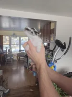 Snow, a male Shetland Sheepdog for sale in Bellaire, MI – Photo 5 of 5