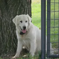 processed/e2cd34d8-ded1-4d47-831d-cfbde293db7c/facility/143fbb65-a840-43b5-b3bb-901f4a0332ab