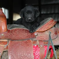 processed/e2cd34d8-ded1-4d47-831d-cfbde293db7c/facility/a0ad27e2-839c-45bb-a5ab-b88289a891ed