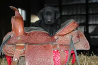 processed/e2cd34d8-ded1-4d47-831d-cfbde293db7c/facility/a0ad27e2-839c-45bb-a5ab-b88289a891ed