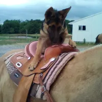 processed/e2cd34d8-ded1-4d47-831d-cfbde293db7c/facility/ebcce7a2-06d8-4e70-99af-02770854c80f