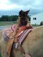 processed/e2cd34d8-ded1-4d47-831d-cfbde293db7c/facility/ebcce7a2-06d8-4e70-99af-02770854c80f