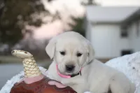 processed/e2cd34d8-ded1-4d47-831d-cfbde293db7c/listing/5178db45-c97a-4b3d-88cf-4ce7ef33bebc/02e2c731-fe81-47ad-ae8c-07383decaf2c