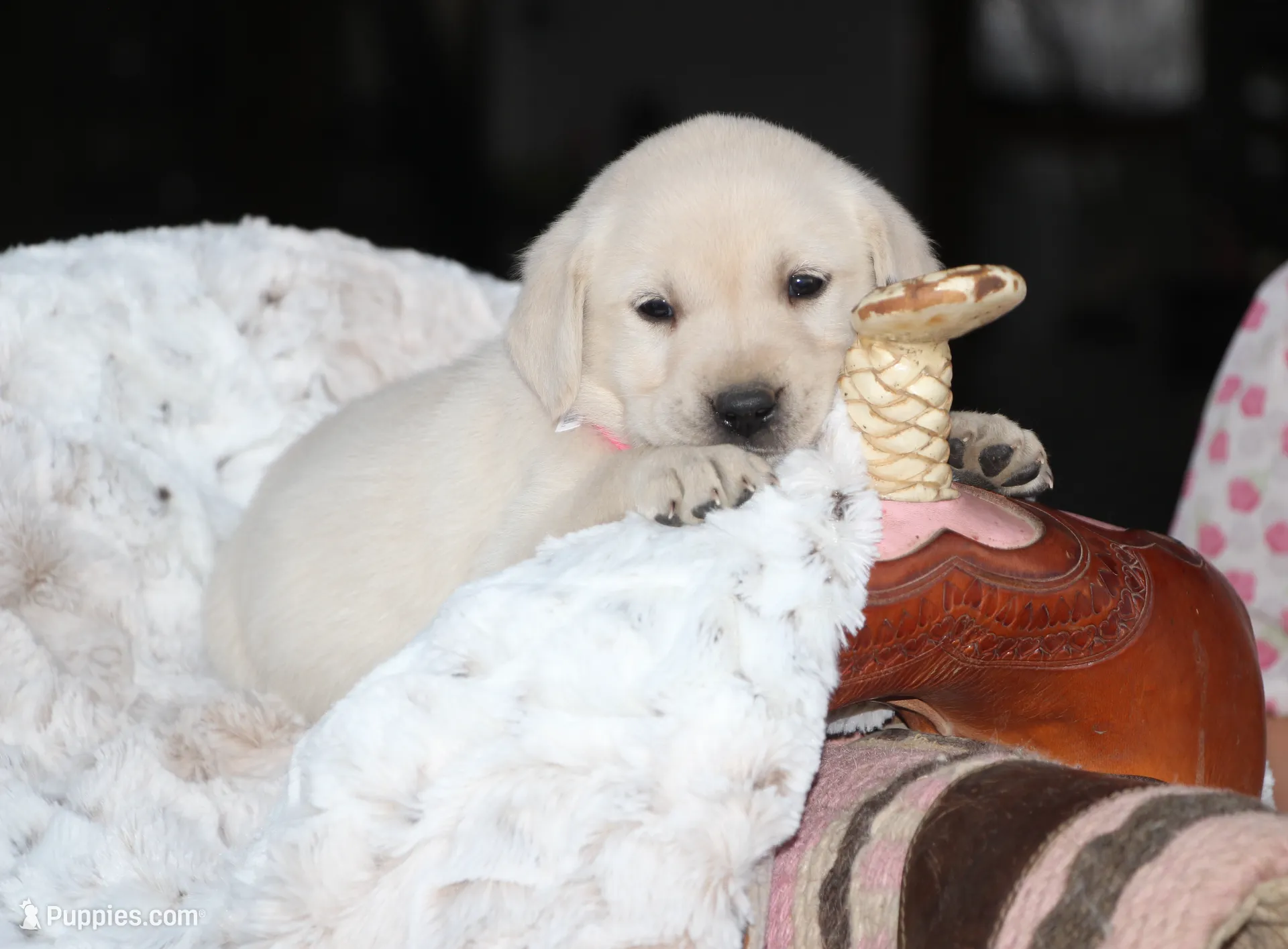 processed/e2cd34d8-ded1-4d47-831d-cfbde293db7c/listing/5178db45-c97a-4b3d-88cf-4ce7ef33bebc/2adbb292-a050-47a6-85a3-152be16575dd